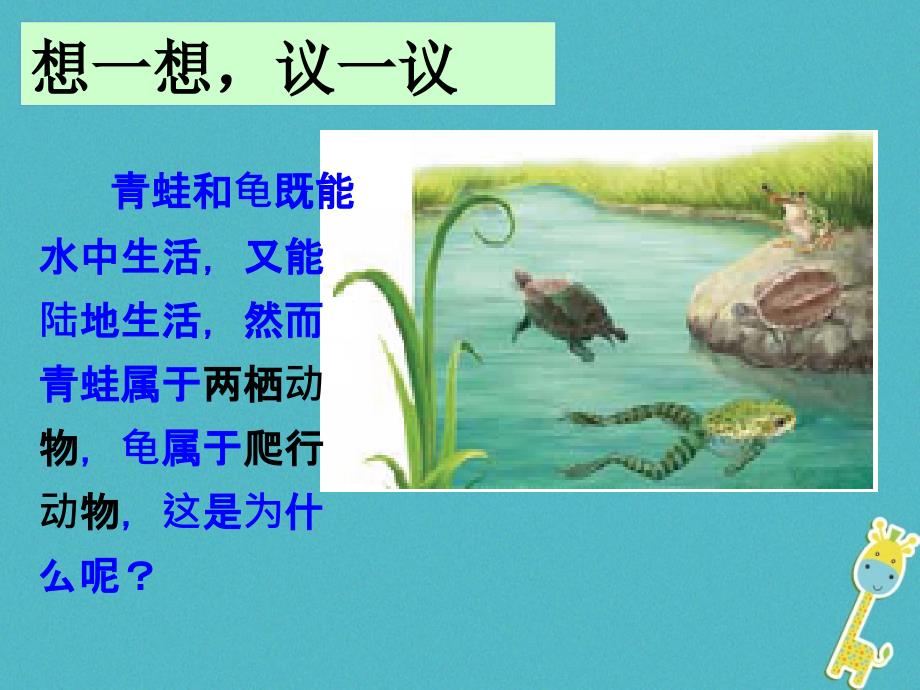 河南省上蔡县八年级生物下册 两栖动物和爬行动物课件 （新版）新人教版_第3页