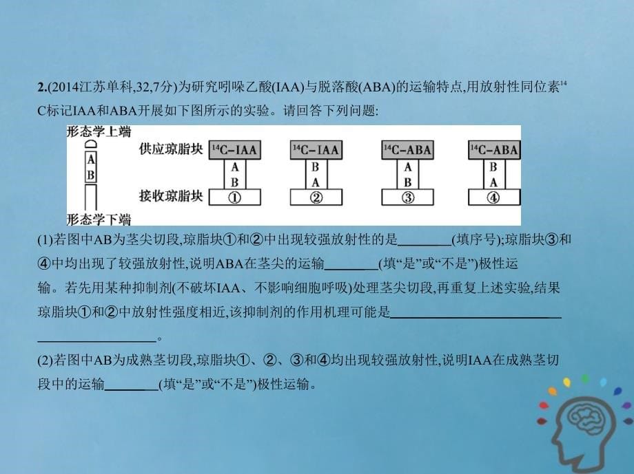 江苏专版2019版高考生物一轮复习专题20植物激素调节课件_第5页