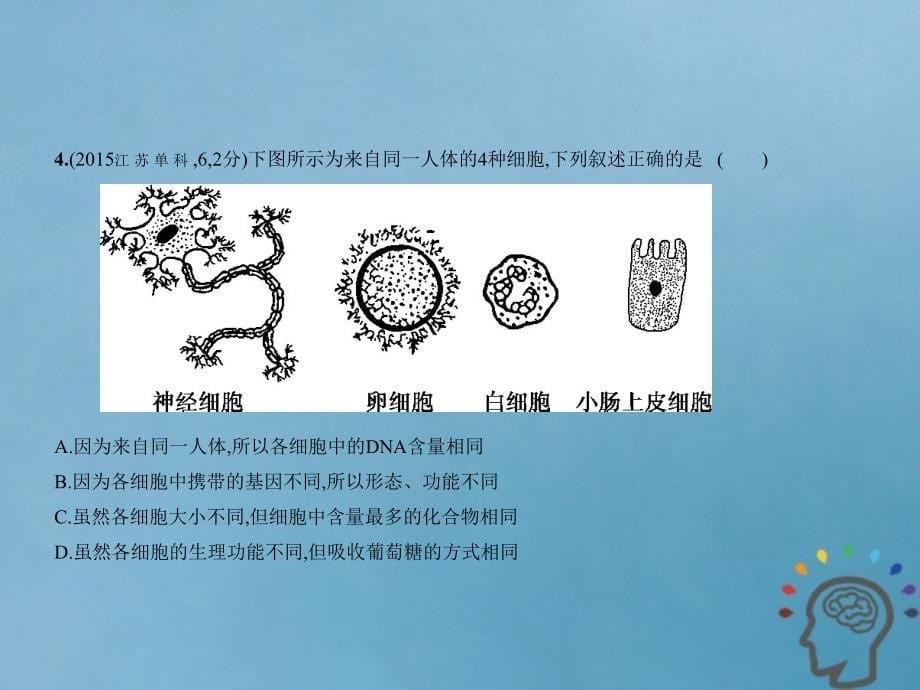 新课标ⅲ2019版高考生物一轮复习 专题8 细胞的分化、衰老、凋亡和癌变课件_第5页