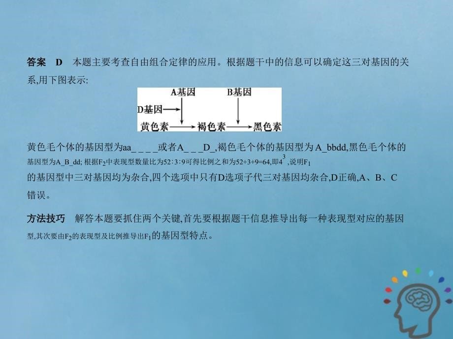 江苏专版2019版高考生物一轮复习专题12基因的自由组合定律课件_第5页