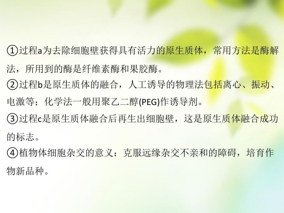 600分考点 700分考法（a版）2019版高考生物总复习 第十九章 细胞工程课件_第5页