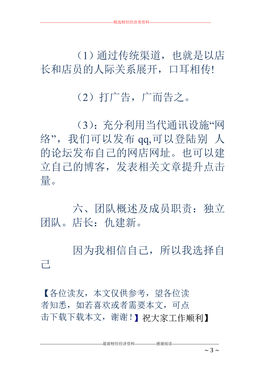 电子商务策划 书_第3页