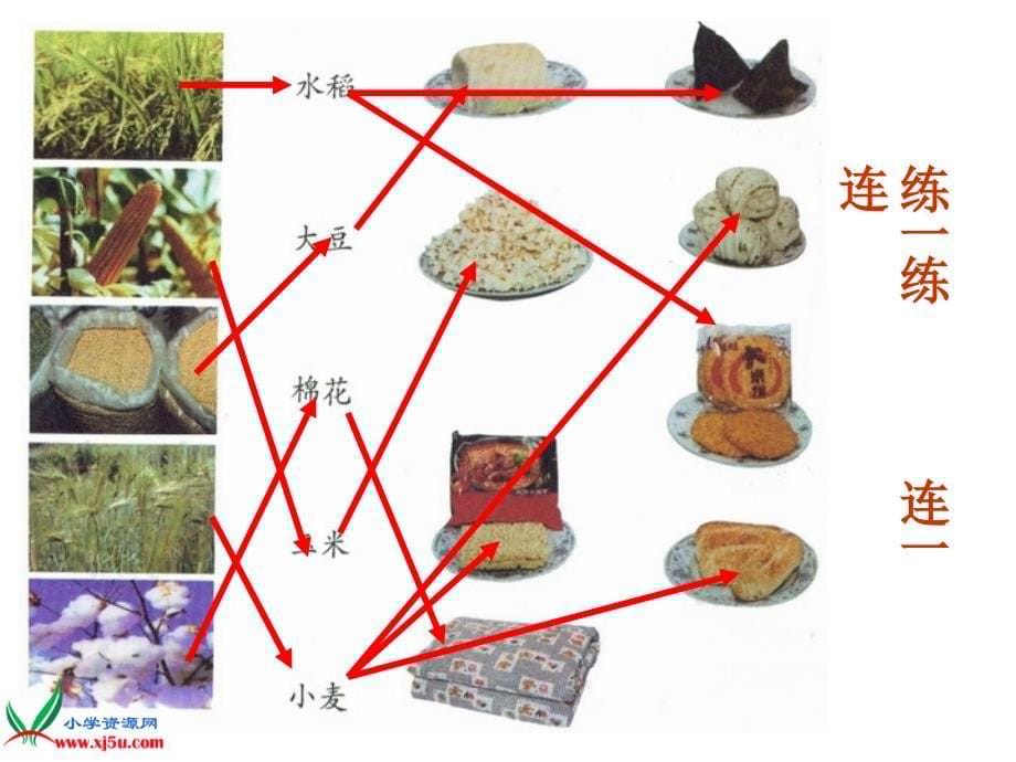 2015秋苏教版品社四上《衣食的来源》ppt课件6_第5页