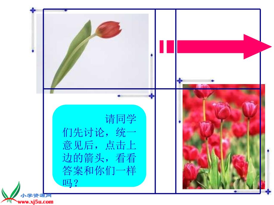 （人美版）二年级美术下册课件 茂密的花 1_第4页