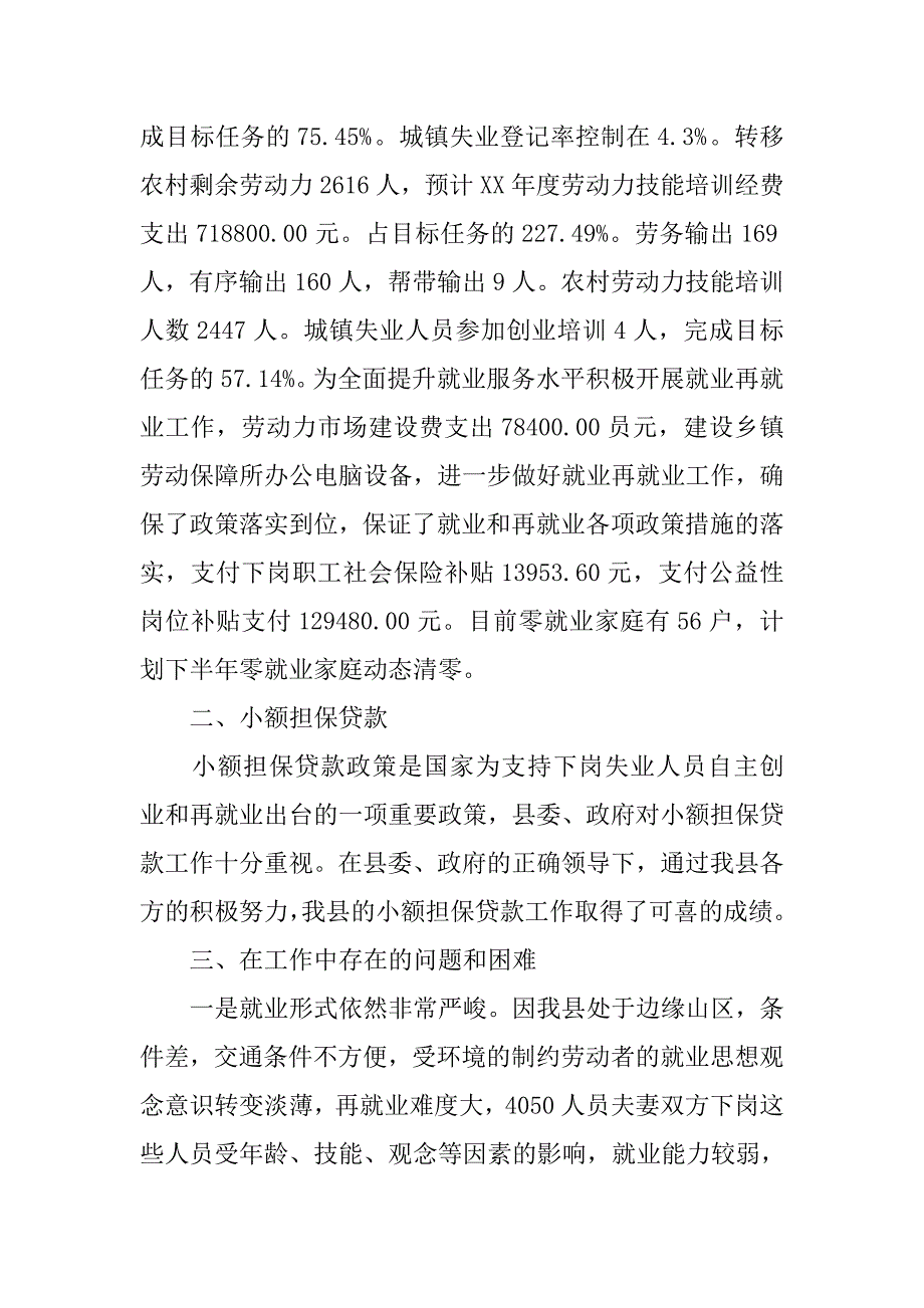 xx年劳动就业服务局工作总结.docx_第2页