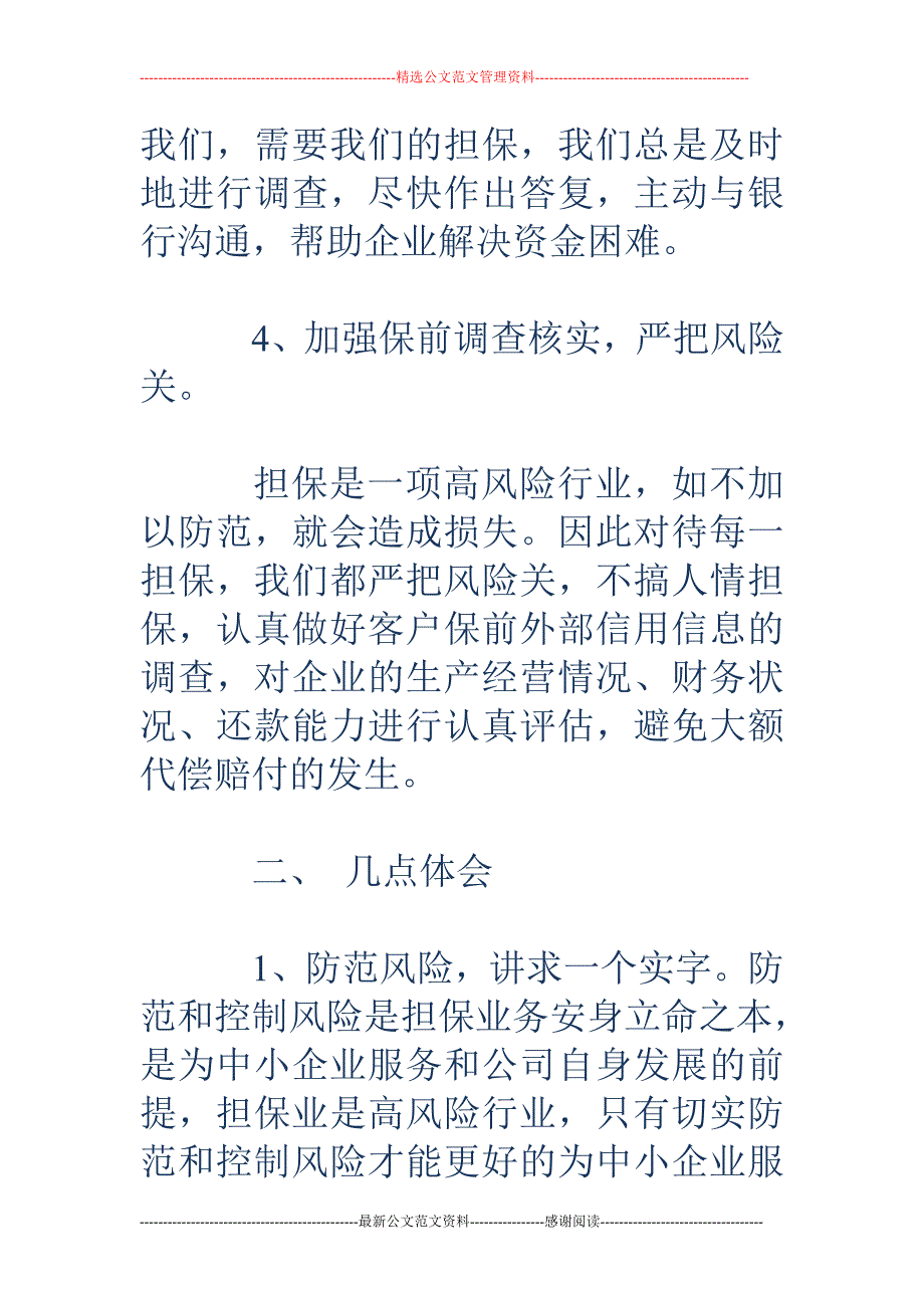 担保公司年终 总结_第3页