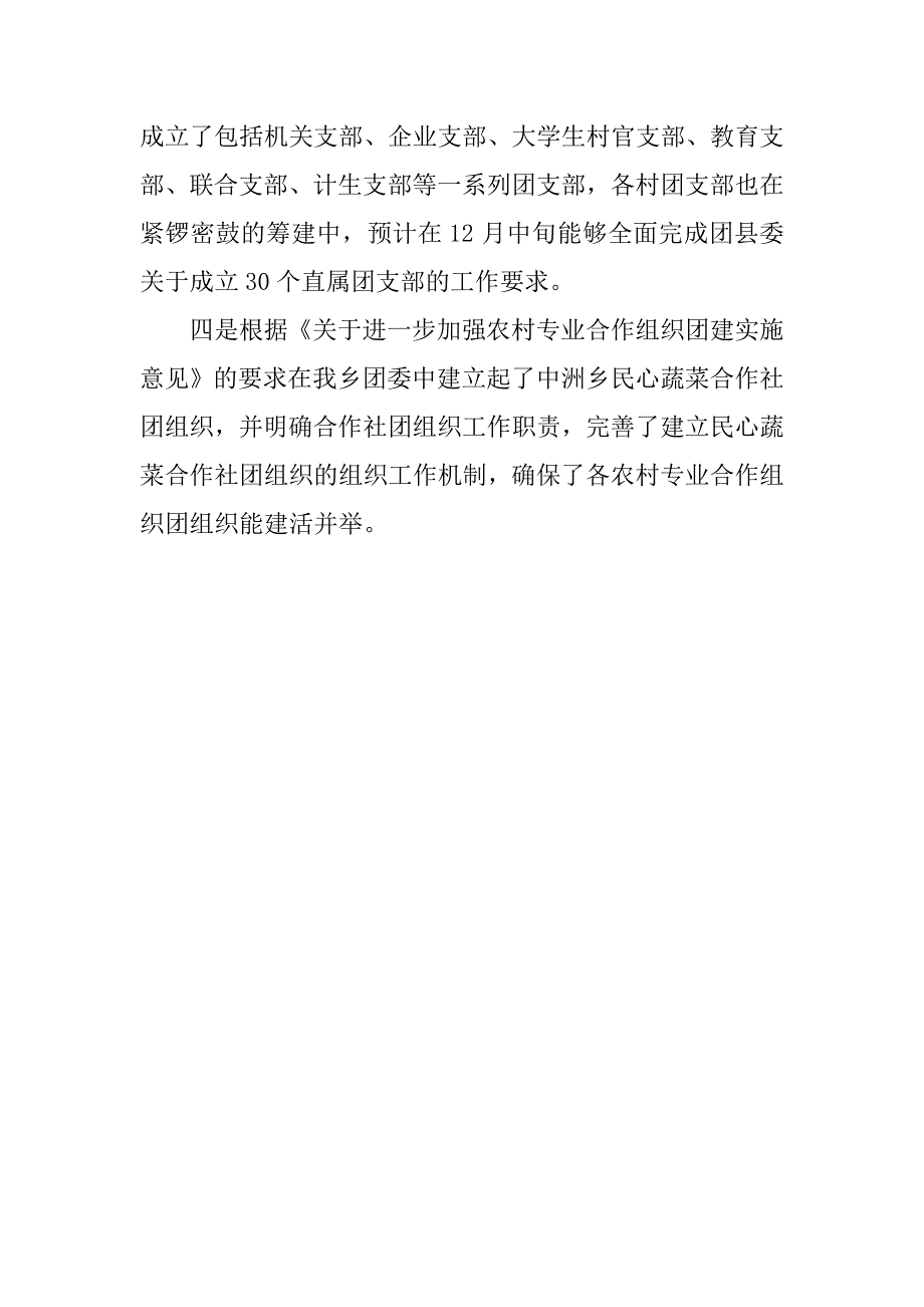 乡落实团中央乡镇实体化大团委精神汇报.docx_第2页