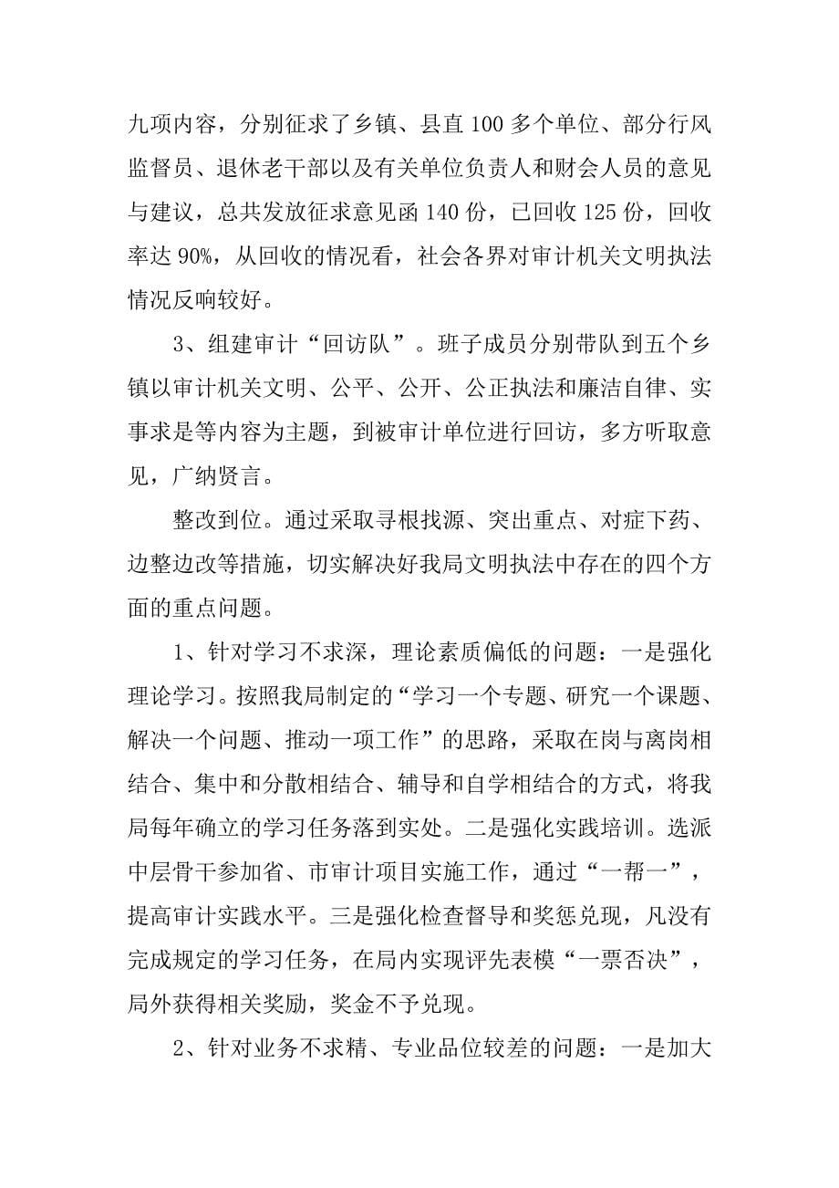 审计文明执法情况总结.docx_第5页