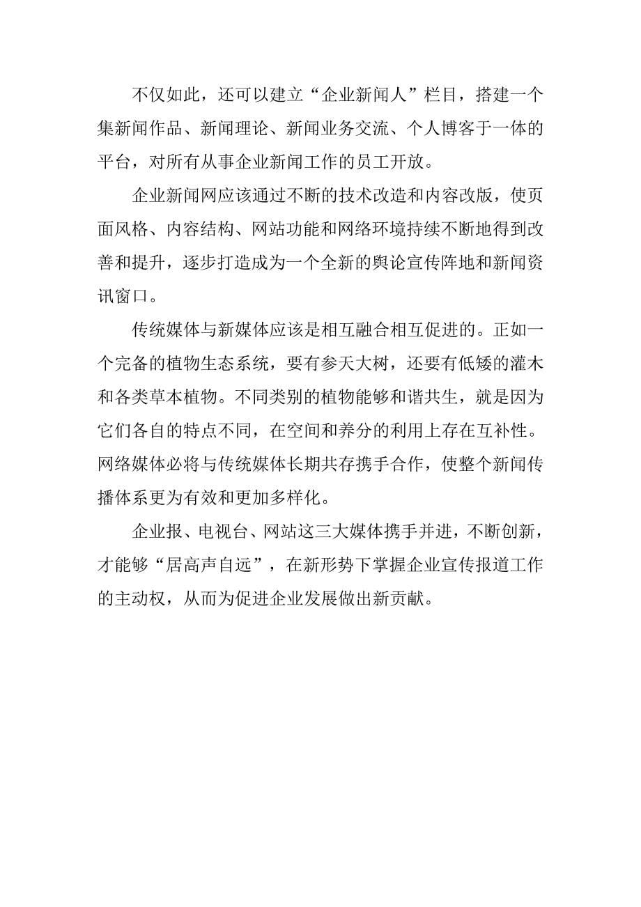 企业网络媒体发展前景分析思考.docx_第5页