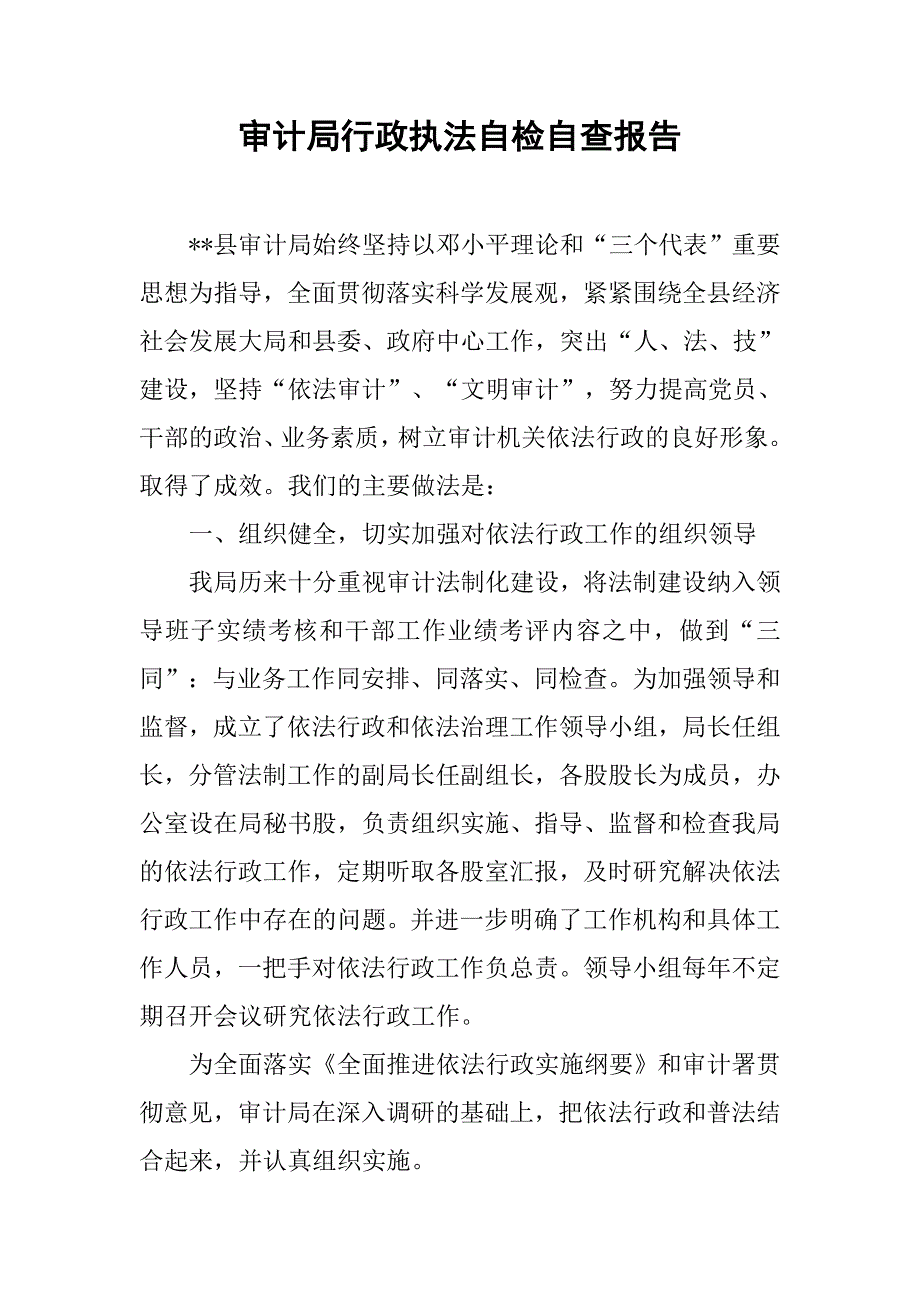 审计局行政执法自检自查报告.docx_第1页