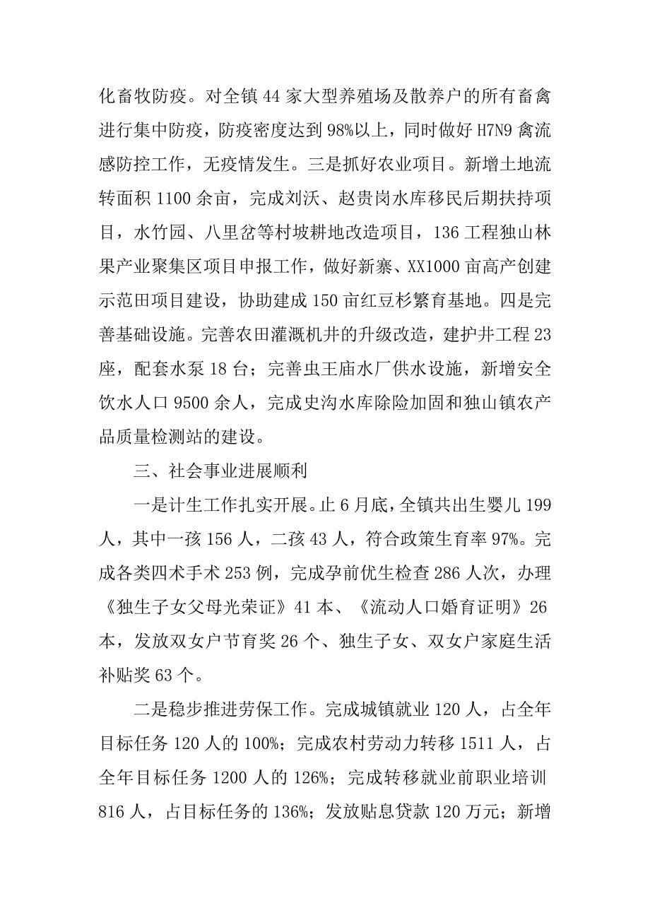 乡镇xx一季度工作总结及下半年工作打算.docx_第5页