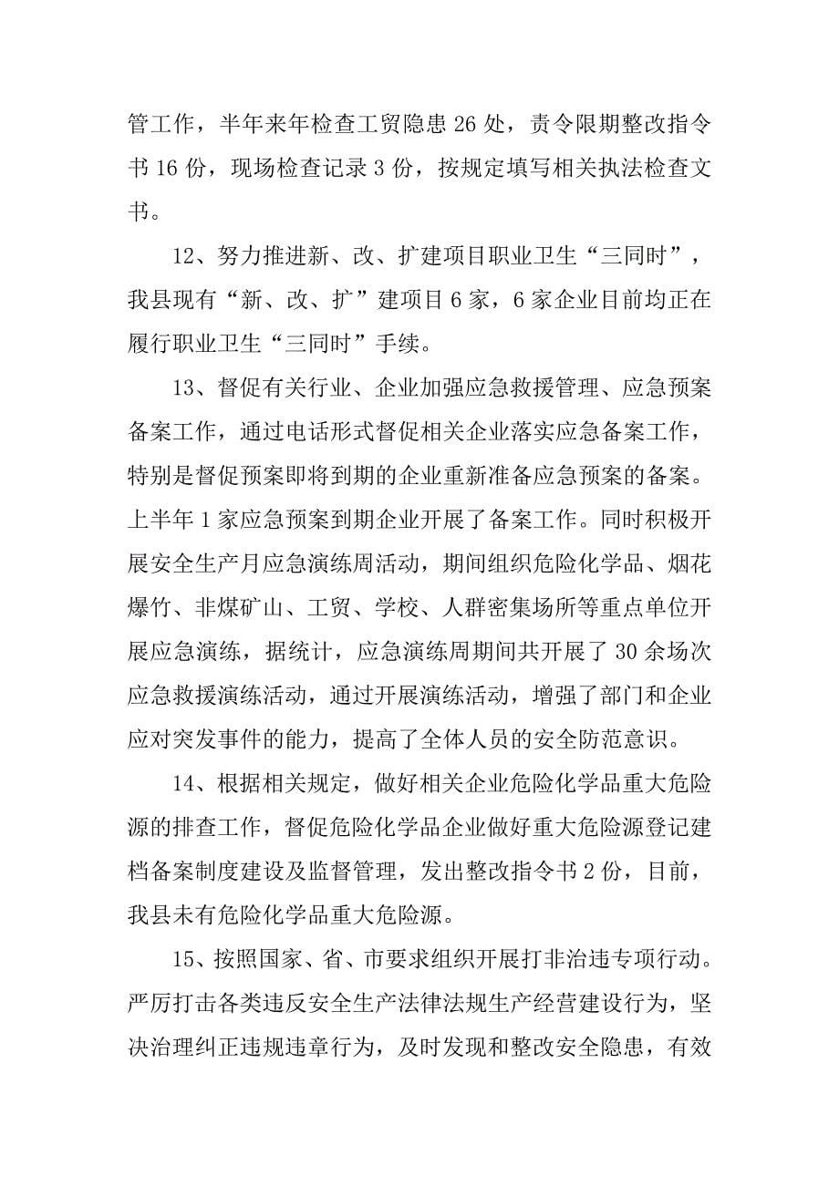 安监局xx年上半年绩效工作总结.docx_第5页