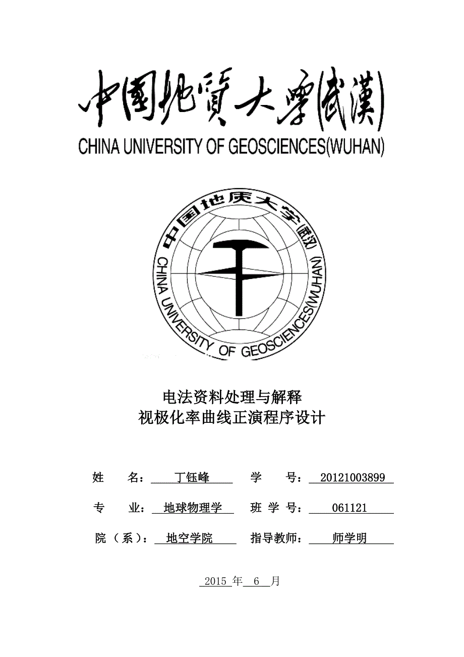 激发极化法编程报告_第1页