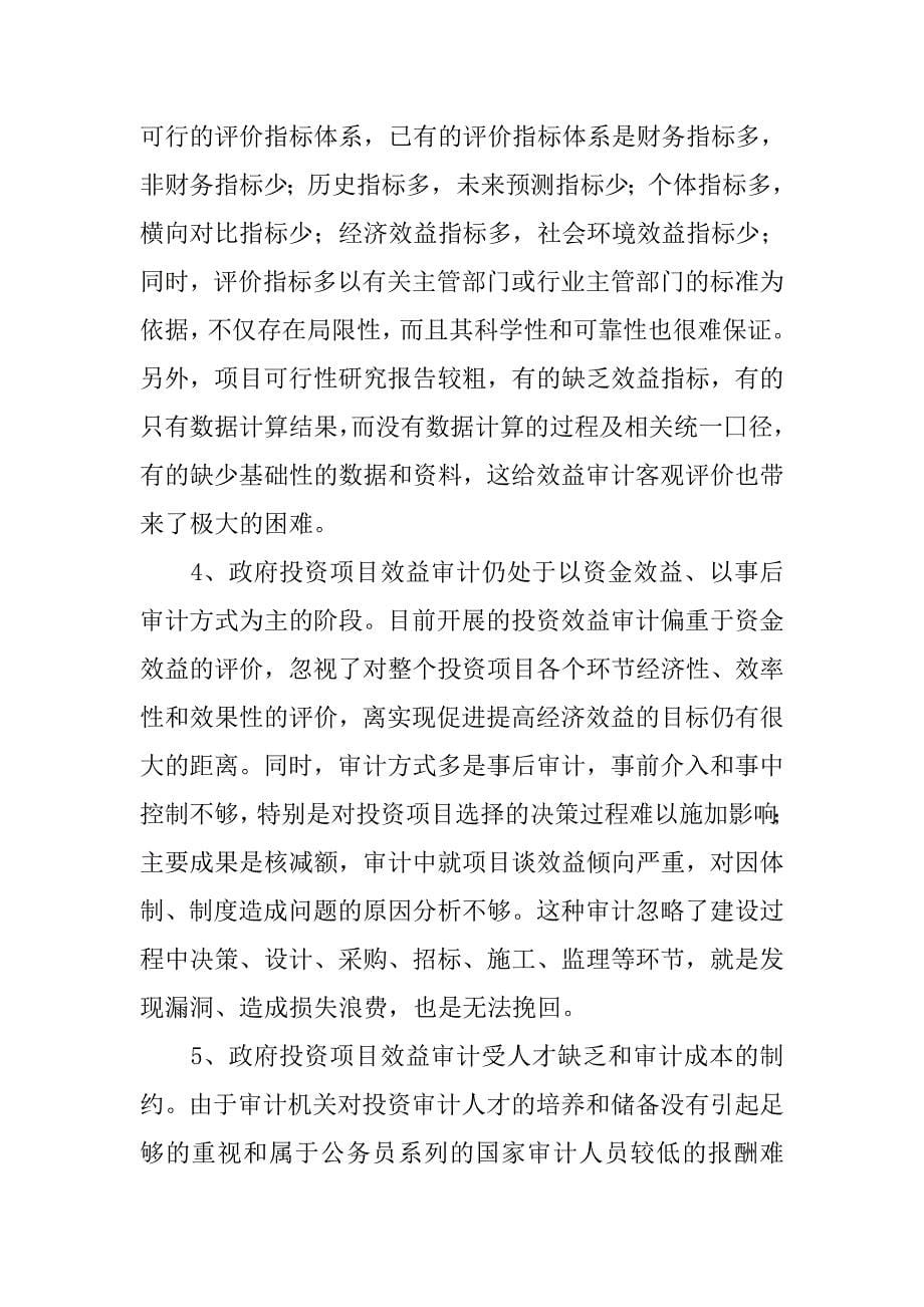 对政府投资项目效益审计开展的调研报告.docx_第5页