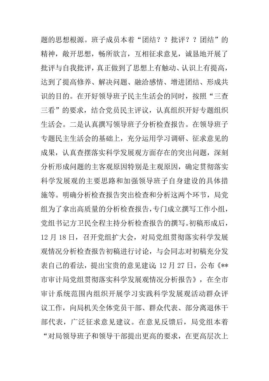 审计局科学发展观活动大总结.docx_第5页