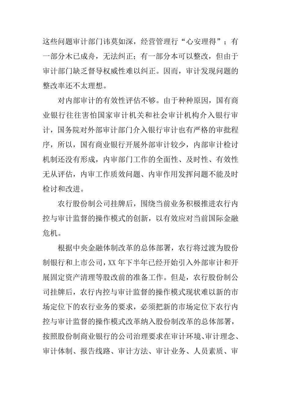 审计体制改革应对国际金融危机的思考.docx_第5页