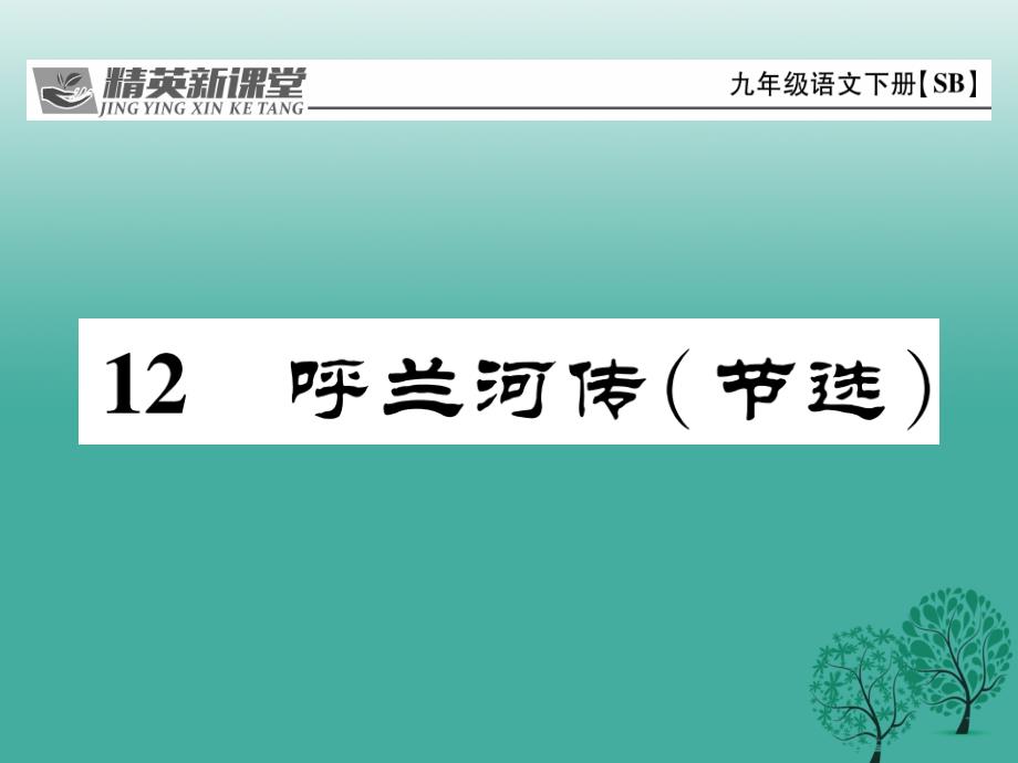 九年级语文下册 第三单元 12《呼兰河传》课件 （新版）苏教版_第1页