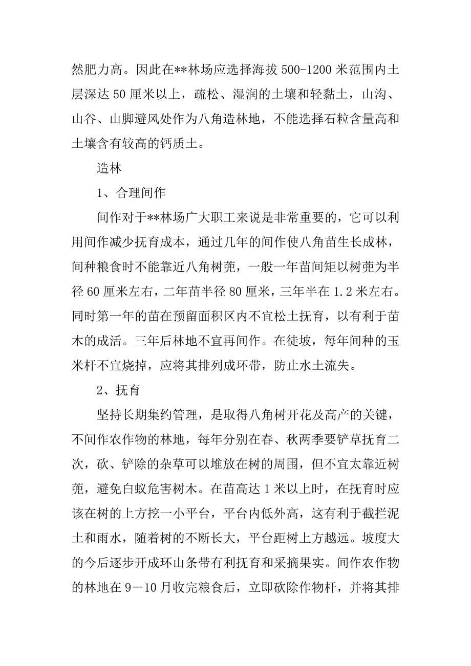 林场八角丰产栽培及低产林改造刍议.docx_第5页