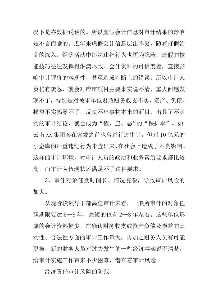 议经济责任审计.docx_第5页