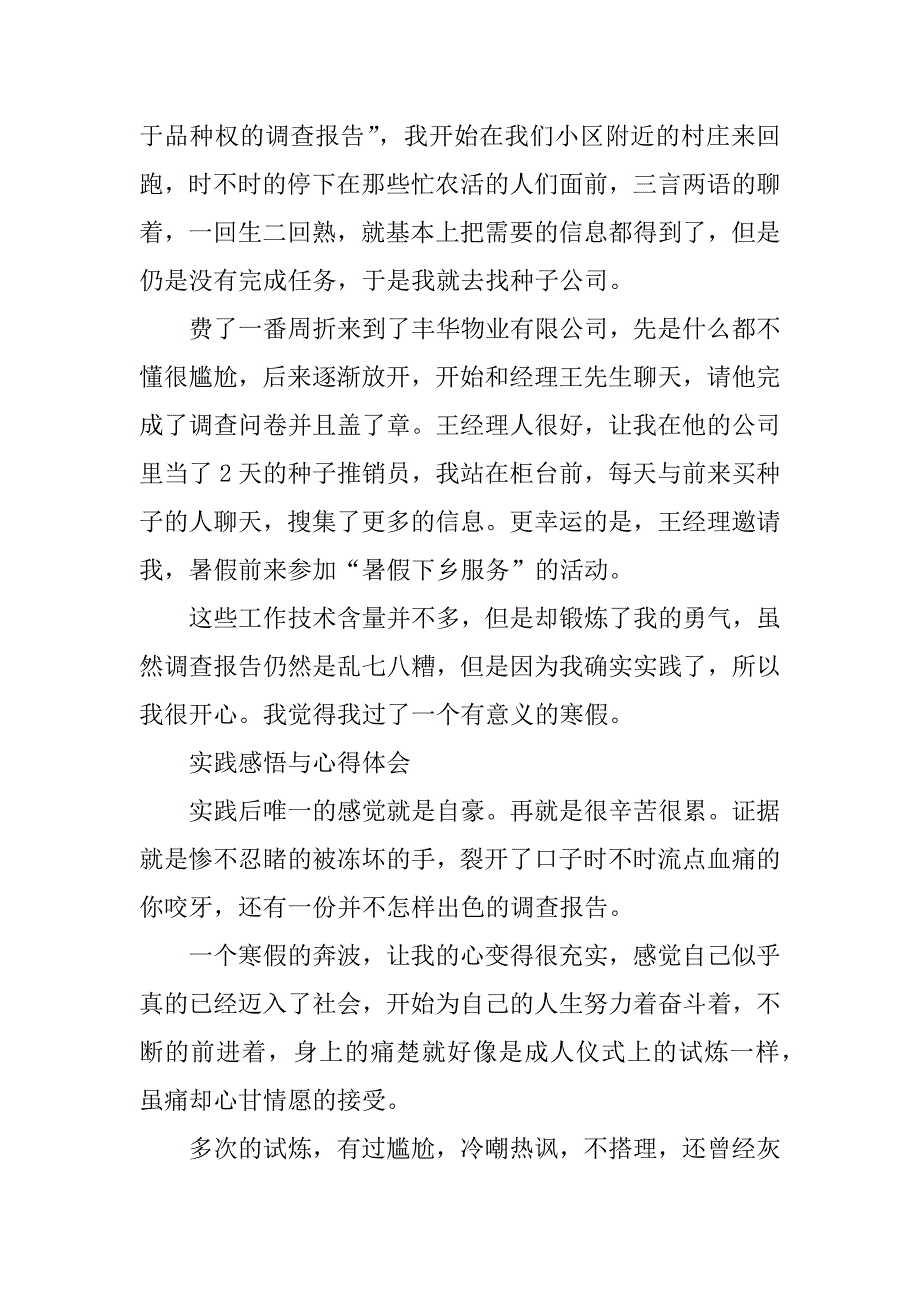 项目管理专业寒假实践报告.docx_第3页