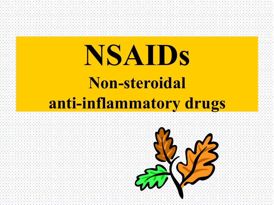 NSAID相关性胃粘膜损伤的防治PPT课件_第2页