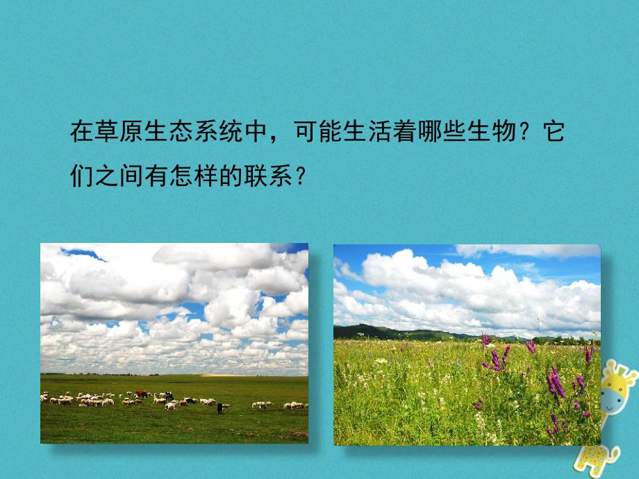 广东省揭阳市八年级生物下册 23.4生态系统的稳定性课件 （新版）北师大版_第2页