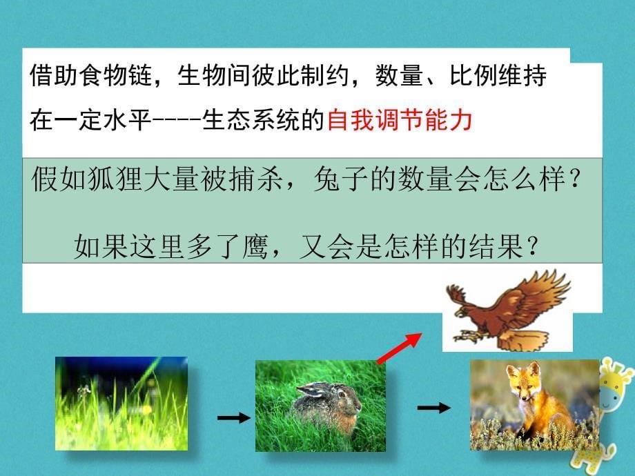 广东省揭阳市八年级生物下册 23.4生态系统的稳定性课件 （新版）北师大版_第5页