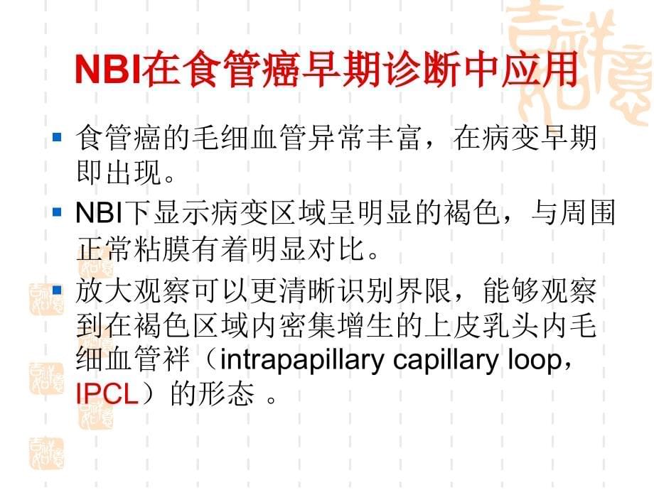 NBI内镜在消化道早癌诊断中应用PPT课件_第5页