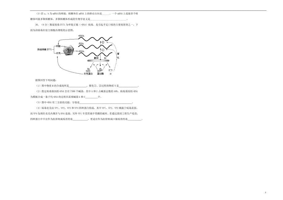 2019年高考生物一轮复习 第六单元 基因的本质和表达单元a卷_第5页