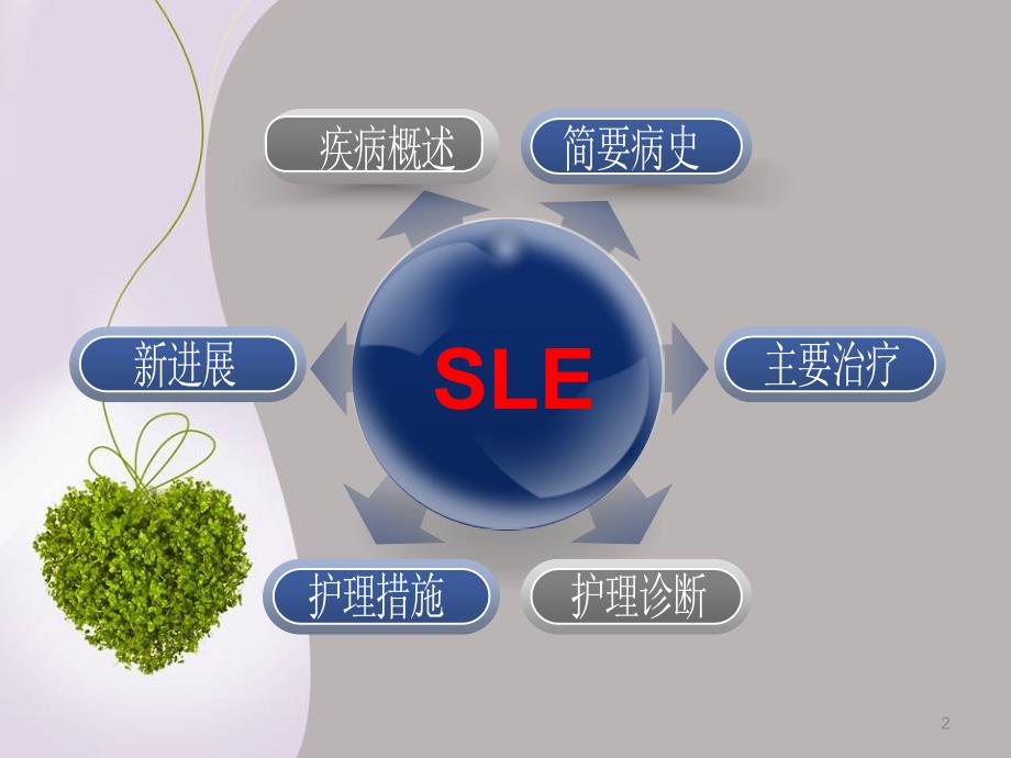 SLE妊娠合并系统性红斑狼疮ppt课件_第2页