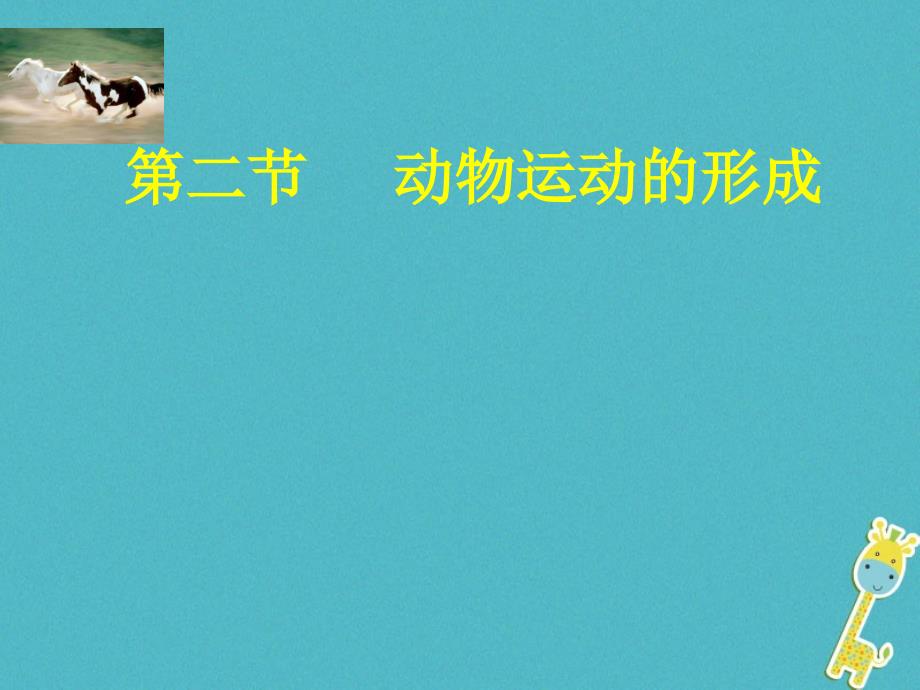 广东省揭阳市八年级生物上册 15.2  动物的运动的形成课件 （新版）北师大版_第1页