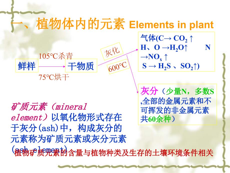 植物生理第二章ppt课件_第3页