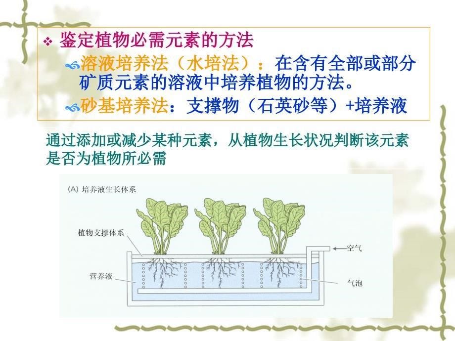 植物生理第二章ppt课件_第5页