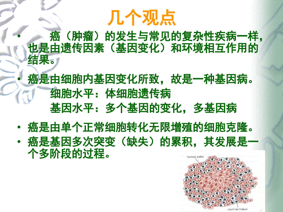 医学遗传学- 肿瘤遗传(课件)_第3页