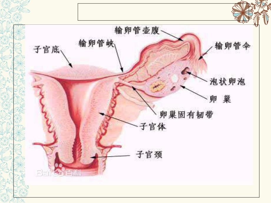 异位妊娠完整版课件.ppt_第4页