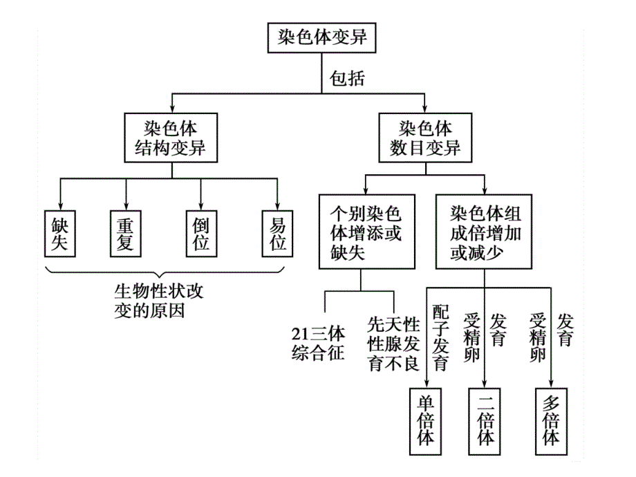 染色体变异ppt课件_第2页