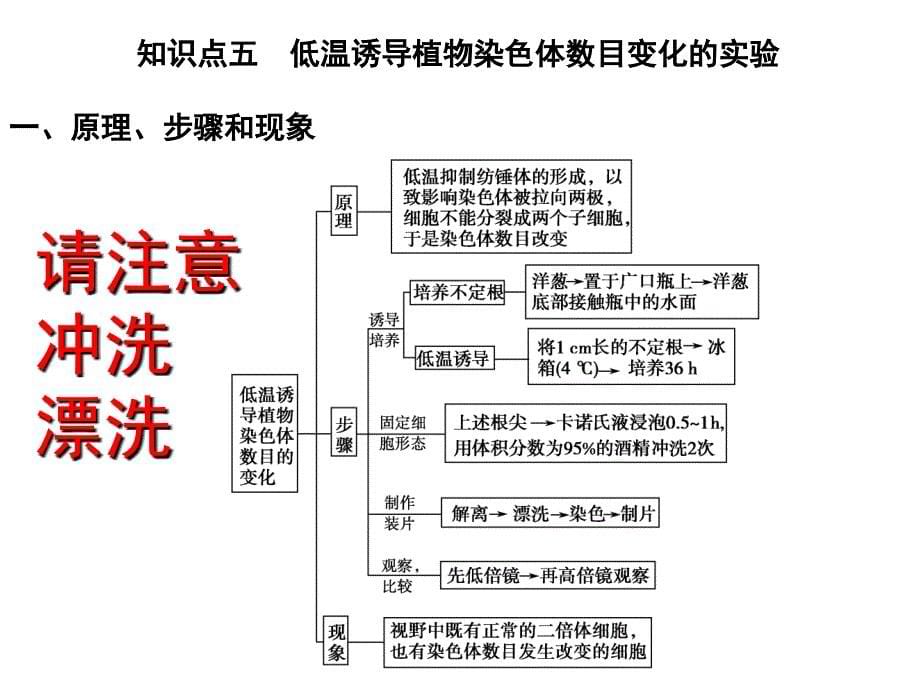 染色体变异ppt课件_第5页