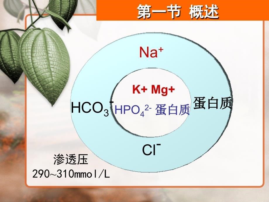 外科病人的体液失调33655ppt课件_第5页