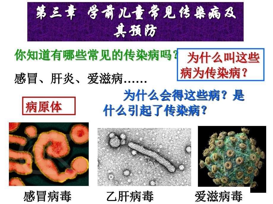 学前儿童身体的疾病及其预防【精品-ppt】_第5页