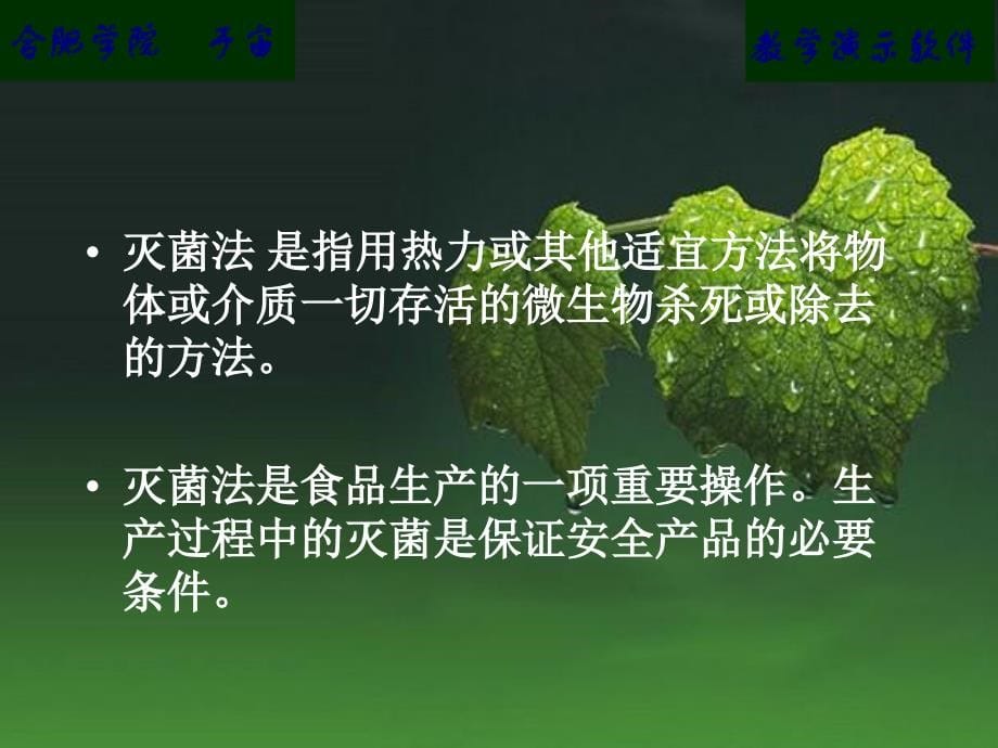 杀菌机械与设备ppt课件_第5页