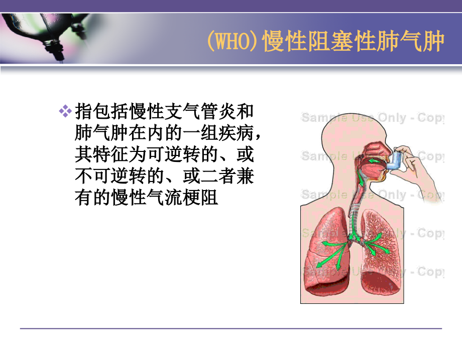 慢阻肺肿瘤病人的家庭护理和管理社区护理学09课件_第4页