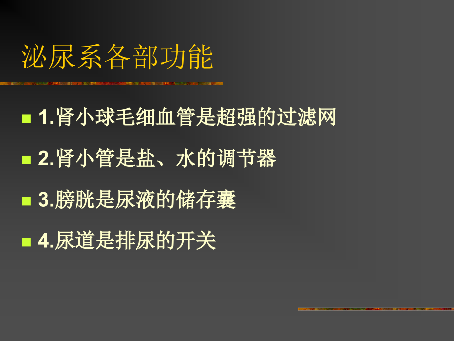 泌尿系统疾病54ppt课件_第3页