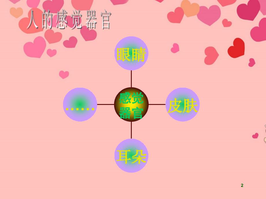 七年级生物下册_第12章第3节感知信息课件_苏教版_第2页