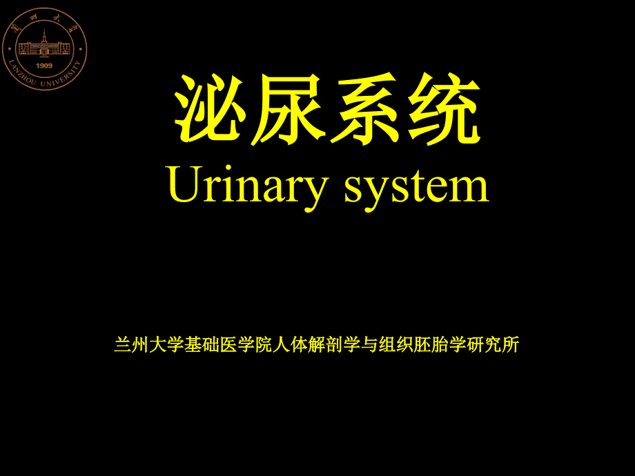 泌尿系统4ppt课件_第1页