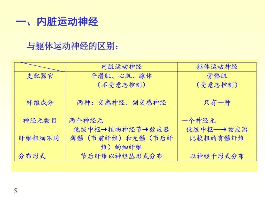 内脏神经0697071ppt课件_第5页