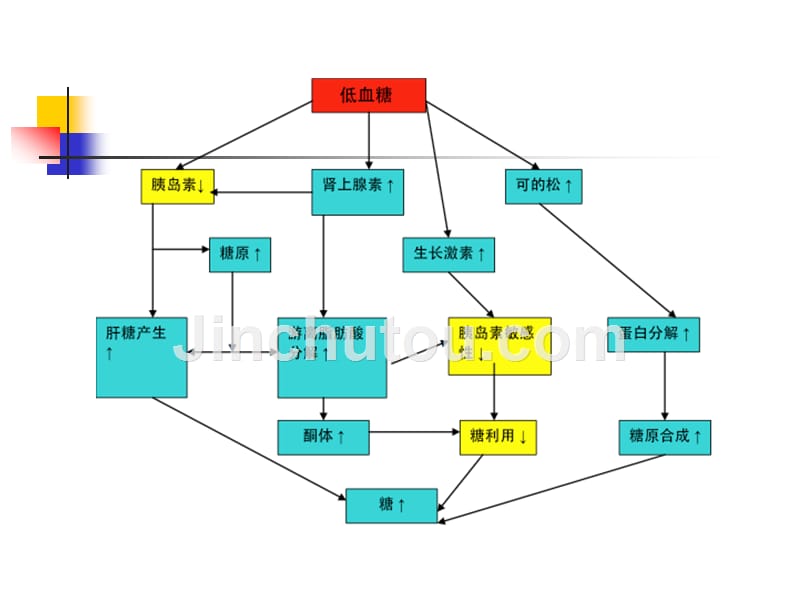 新生儿糖代谢紊乱ppt课件_第4页