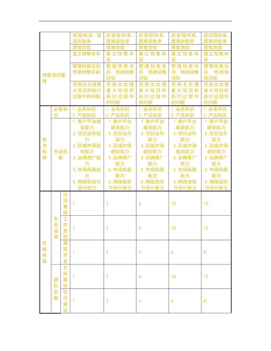 人力资源管理之任职资格标准-营销族-业务类_第5页