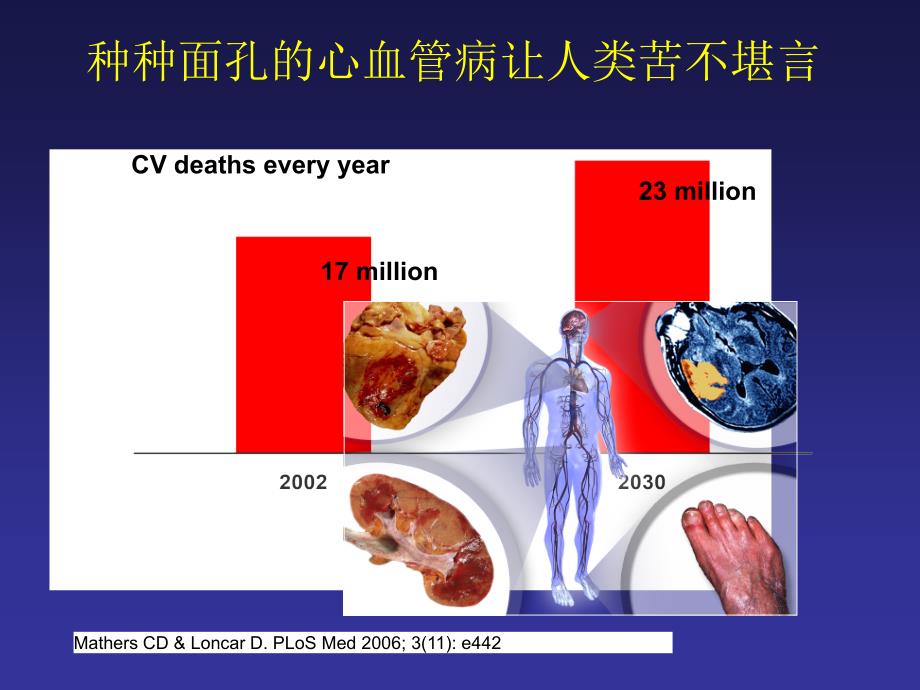 心血管病传统和新危险因素评价ppt课件_第2页