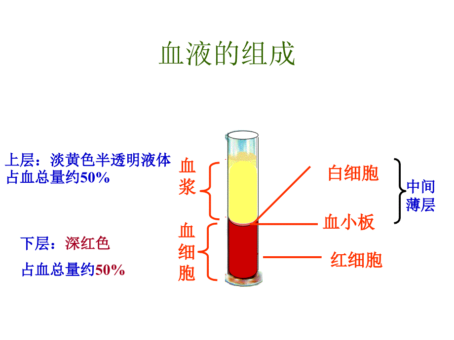 流动的组织血液课件_第3页