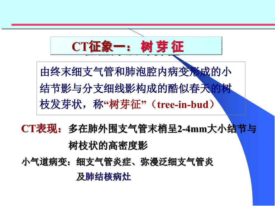 医学ppt肺部征象诊断应用_第3页